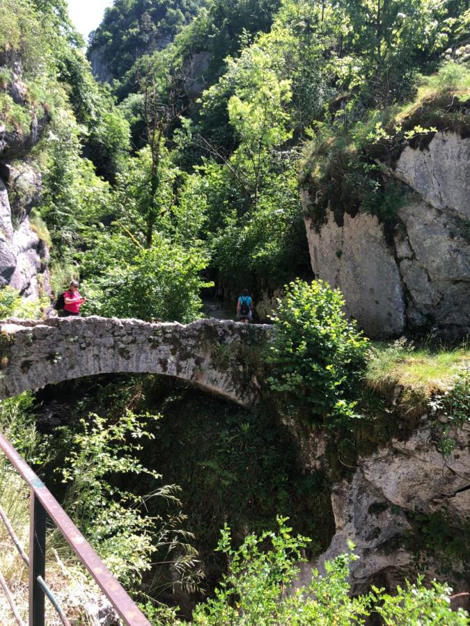 Au Pied Du Vercors Tout Est Permis La Riviere  외부 사진